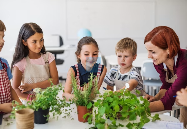School Project Ideas for CBSE & ICSE Students